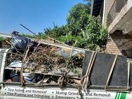 Best Garage Cleanout  in Cambria, IL