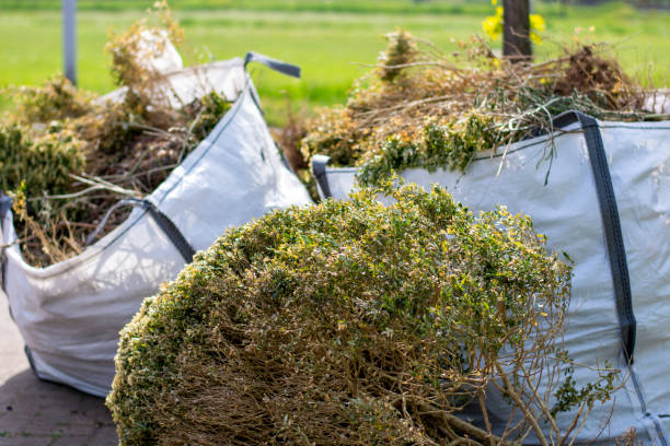 Best Electronics and E-Waste Disposal  in Cambria, IL