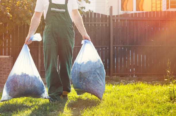 Professional Junk Removal Services in Cambria, IL
